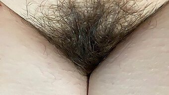 Intense Close-Up Of My Unshaved Vagina With A Massive Bush In 4k Hd Video, Perfect For Hairy Fetish Enthusiasts