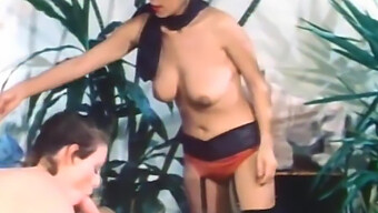 Film Érotique Suédois Vintage Mettant En Vedette Une Baise Intense