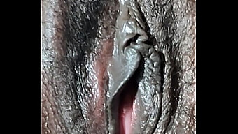 Vagina Up-Close: A Close-Up View Of Fucking